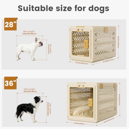 Collapsible Dog Crate for Large/Medium Dogs, view 6