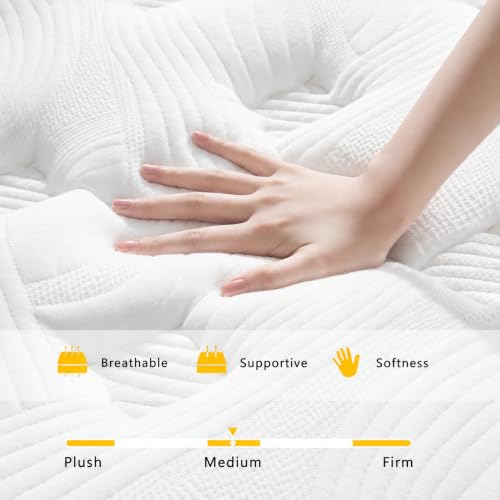 King Size Matresses, 14 Inch Pocketed Spring King Mattress in a Box, view 6