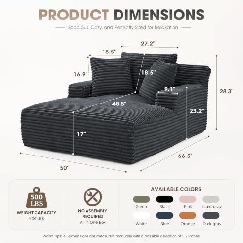 67" Chaise Lounge Chair Indoor, view 3