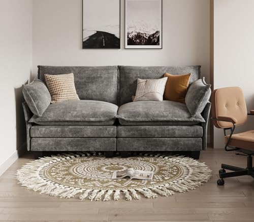 Modular Sectional Sofa, Loveseat 2 Seater Cloud Couch, Chenille Modern Sectional Couches for Living Room, Apartment Grey