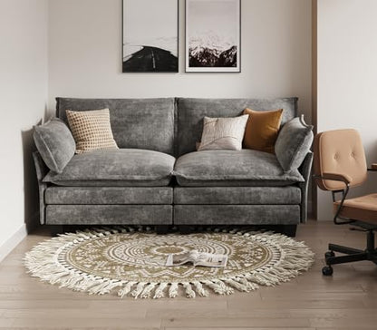 Modular Sectional Sofa, Loveseat 2 Seater Cloud Couch, Chenille Modern Sectional Couches for Living Room, Apartment Grey