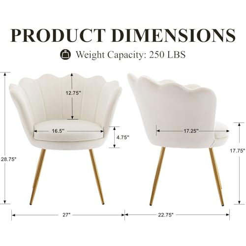 Cream White Makeup Vanity Chair with Back, Small Modern Velvet Upholstered Accent Chair with Gold Metal Legs, Cute Shell Shaped Vanity Stool Desk Chair for Living Room Bedroom Dressing Room