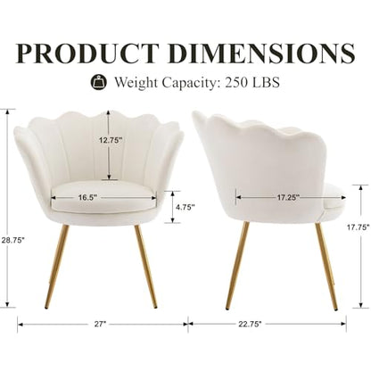 Cream White Makeup Vanity Chair with Back, Small Modern Velvet Upholstered Accent Chair with Gold Metal Legs, Cute Shell Shaped Vanity Stool Desk Chair for Living Room Bedroom Dressing Room