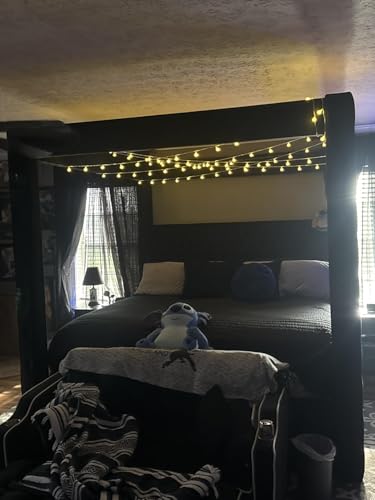 Velvet Canopy Bed Frame King - Upholstered Four Poster Bed Frame with Tufted Headboard and Footboard, Luxury Bed Frame with Wood Slats for Bedroom Furniture, Box Spring Required, Black