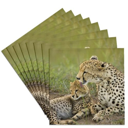 Cheetah photo ceramic tile coasters, set of 8, view 2