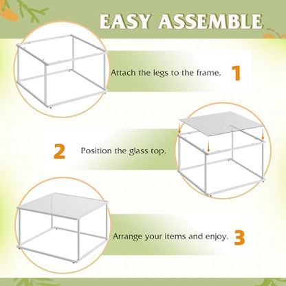 Coffee Table, Glass Coffee Table for Living Room, Modern Small Coffee Table with Tempered Glass & Metal Frame, Square Center Table for Small Spaces Apartment, Office, 26.4 x 26.4in, White