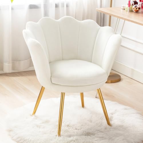 Cream White Makeup Vanity Chair with Back, Small Modern Velvet Upholstered Accent Chair with Gold Metal Legs, Cute Shell Shaped Vanity Stool Desk Chair for Living Room Bedroom Dressing Room