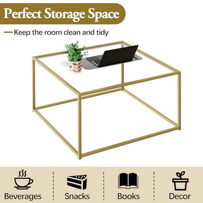 Glass Coffee Table, Small Square Coffee Table for Living Room,Simple Modern Center Tables for Small Spaces, Gold Living Room Tea Tables Easy Assembly,26 * 26in（Gold & Clear Glass）