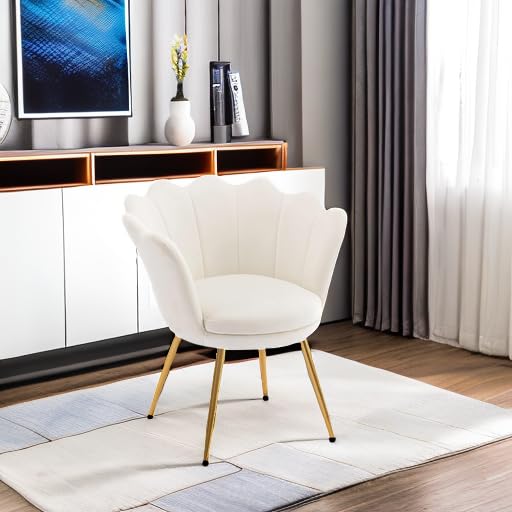 Cream White Makeup Vanity Chair with Back, Small Modern Velvet Upholstered Accent Chair with Gold Metal Legs, Cute Shell Shaped Vanity Stool Desk Chair for Living Room Bedroom Dressing Room