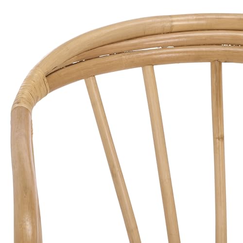 SAFAVIEH Home Collection - Billie Tropical Rattan Dining Chair, Natural & Cream Upholstered Seat, Coastal Accent Chair, Fully Assembled (SEA8041A)