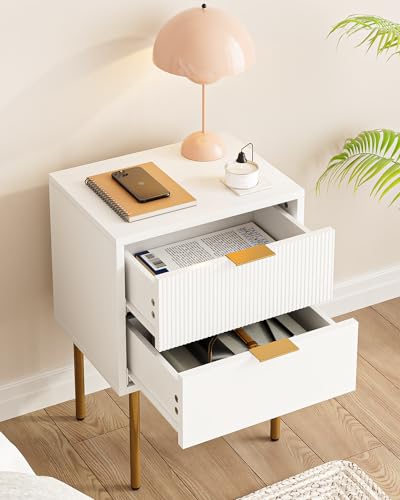 Nightstand,Small Bedside Table with Gold Frame,White Night Stand,Bedside Furniture,Side Table with 2Drawers for Bedroom,Living Room (2Drawers, White)