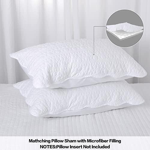 Standard Size Pillow Shams Set of 2, Ultra Soft Breathable 20 x 26 Inches Quilted Pillow Cases Envelope Closure for Sleeping, Decorative Microfiber Bed Pillowcases Easy Care, White