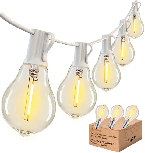 Outdoor String Lights 75FT Waterproof Patio Lights with 38 Shatterproof Dimmable Edison LED Bulbs,Connectable Outdoor Lighting for Backyard,Garden and Wedding Outside, 2200K White Cord