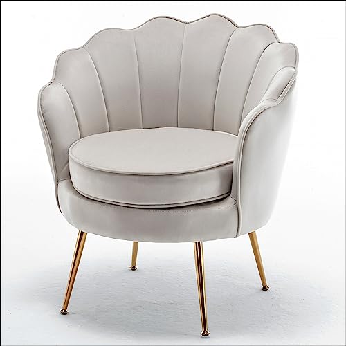 Velvet Barrel Accent Chair with Scalloped Silhouette and Gold Metal Legs, Decorative Piece Suitable for Traditional, Modern, and Contemporary Spaces, Ivory