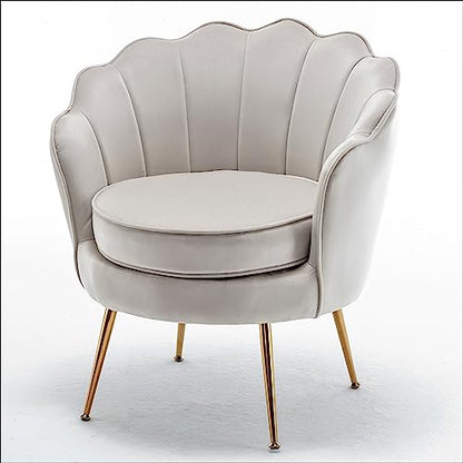 Velvet Barrel Accent Chair with Scalloped Silhouette and Gold Metal Legs, Decorative Piece Suitable for Traditional, Modern, and Contemporary Spaces, Ivory