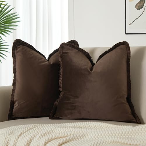 Coffee Velvet Throw Pillow Covers 18x18 Inch Set of 2 with Soft Tassel Fringe Luxury Boho Pillowcase for Sofa Couch Bed Home Decor Machine Washable