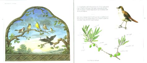 Decorative Designs: Over 100 Ideas for Painted Interiors, Furniture, and Decorated Objects