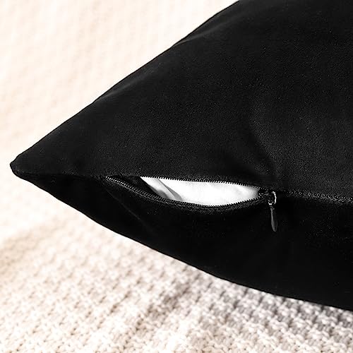 Set of 4 Decorative Throw Pillow Covers Soft Velvet Solid Square Pillow Cases Luxury Cushion Covers Case for Sofa Car Patio Bedroom Living Room 18x18 Inch, Black