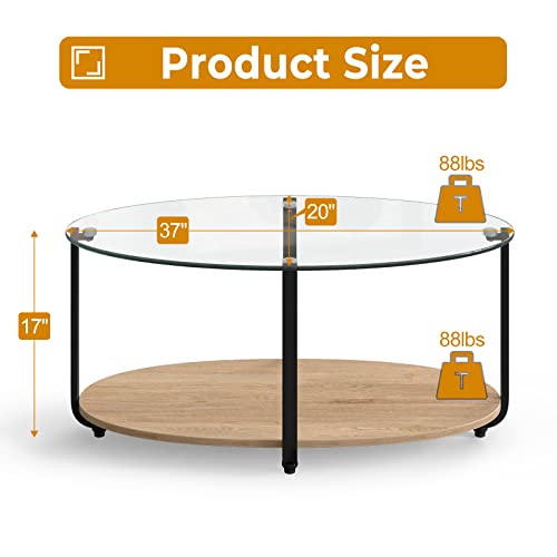 Glass Coffee Table, 2 Tier Oval Tea Table with Tempered Glass Tabletop and Wooden Shelf, Modern Glass Sofa Center Table for Home Office, Metal Legs, Home Decor Accent Cocktail Table