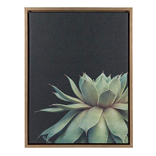 Sylvie Succulent Plant Framed Canvas Wall Art, Botanical Green with Black Background, 18x24 Gold
