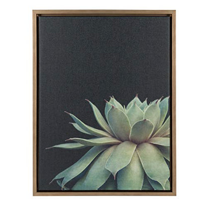 Sylvie Succulent Plant Framed Canvas Wall Art, Botanical Green with Black Background, 18x24 Gold