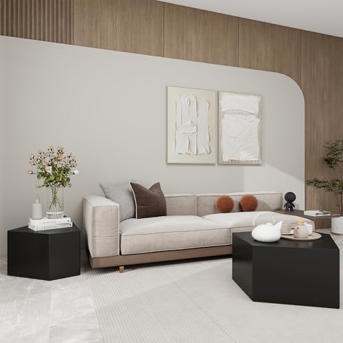 Irregular Pentagon Nesting Coffee Table,Black Modern Centre Table,Set of 2 End Table for Living Room,Office