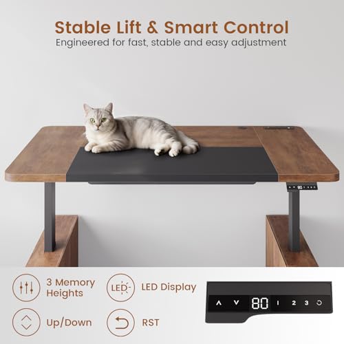63" Executive Standing Desk with Storage, Executive Height Adjustable Desk with Power Outlets, Large Computer Office Desk with Privacy Panel for Home Office, Warm Golden Brown