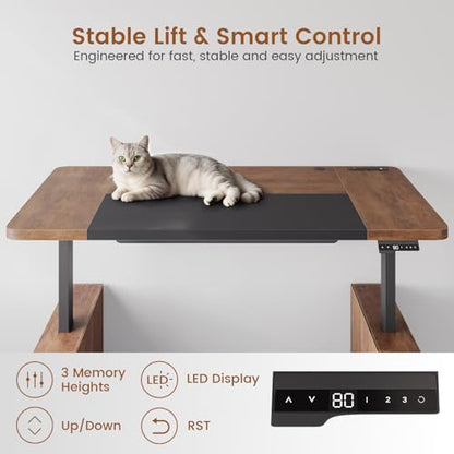 63" Executive Standing Desk with Storage, Executive Height Adjustable Desk with Power Outlets, Large Computer Office Desk with Privacy Panel for Home Office, Warm Golden Brown