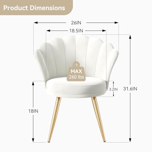Velvet Accent Chair with Gold Metal Legs, Vanity Chair for Makeup Room, Upholstered Guest Chair for Living Room, for Bedroom, White
