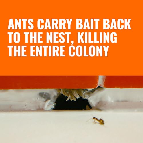 TERRO Liquid Ant Killer Bait Stations, 12-Pack, Indoor Ant Traps, T300B, view 4