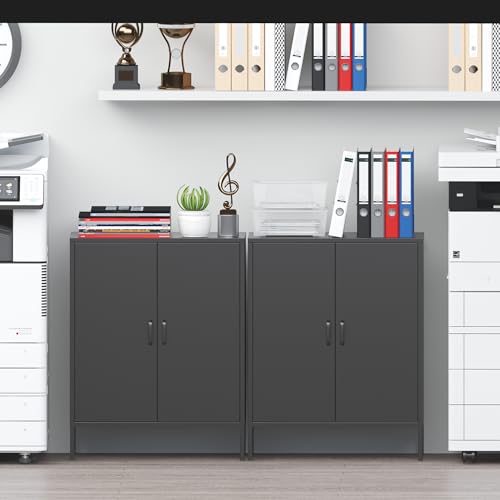 2 Door Metal Storage Cabinet with 2 Shelves, 3 Tier Garage Storage Locker Cabinet for Home, Entryway, Hallway and Office, Assembly Required, Black, (LC-CSG)