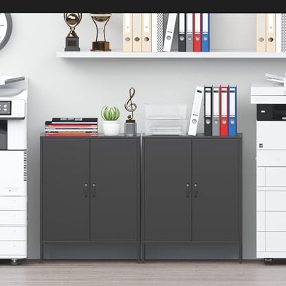 2 Door Metal Storage Cabinet with 2 Shelves, 3 Tier Garage Storage Locker Cabinet for Home, Entryway, Hallway and Office, Assembly Required, Black, (LC-CSG)