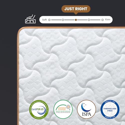 Queen Mattress 14 Inch, Luxury Hotel Cooling Hybrid Bed Mattress in a Box, view 4