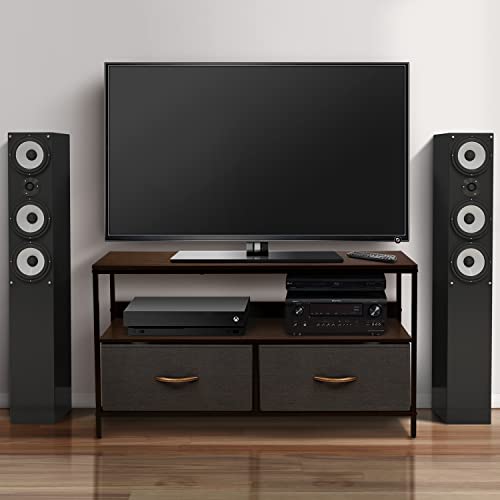 TV Stand Dresser with 2 Drawers - Television Riser Chest with Storage - Bedroom, Living Room, Closet, & Dorm Furniture