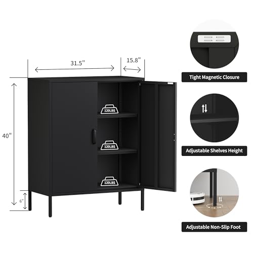 2 Door Metal Storage Cabinet with 2 Shelves, 3 Tier Garage Storage Locker Cabinet for Home, Entryway, Hallway and Office, Assembly Required, Black, (LC-CSG)