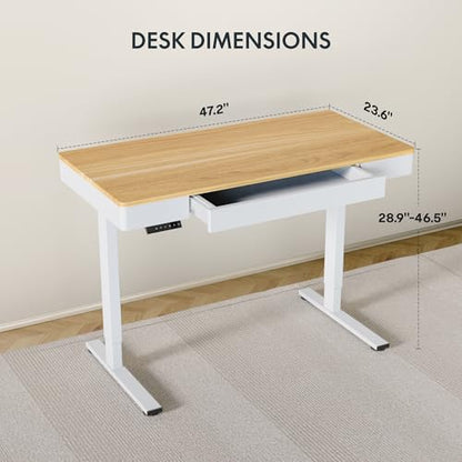 FLEXISPOT Standing Desk with Drawer, 48 x 24 Inch Electric Adjustable Height Stand Up Desk with Storage Organizer, Whole Piece Wooden Desktop for Home, Office, Computer Workstation, Maple