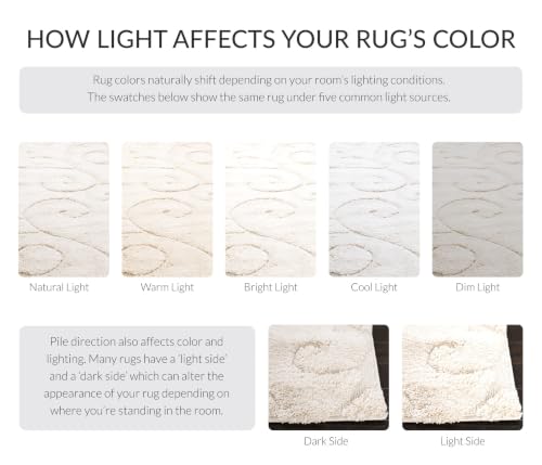 SAFAVIEH Florida Shag Collection Accent Rug, 3'3" x 5'3", Cream & Cream, view 4