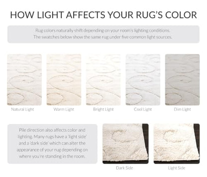 SAFAVIEH Florida Shag Collection Accent Rug, 3'3" x 5'3", Cream & Cream, view 4