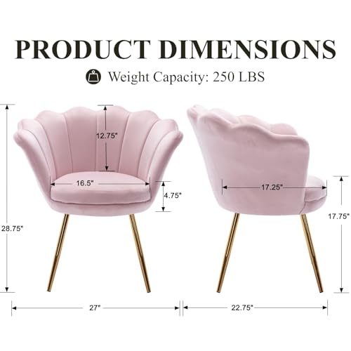 Light Pink Makeup Vanity Chair with Back, Modern Velvet Upholstered Small Accent Chair with Gold Metal Legs, Cute Shell Shaped Vanity Stool Desk Chair for Living Room Bedroom Dressing Room