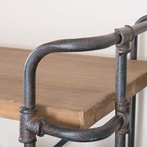 SOHO Indoor-Outdoor Antique Finish -Outdoor Iron 5-Shelf Bookcase