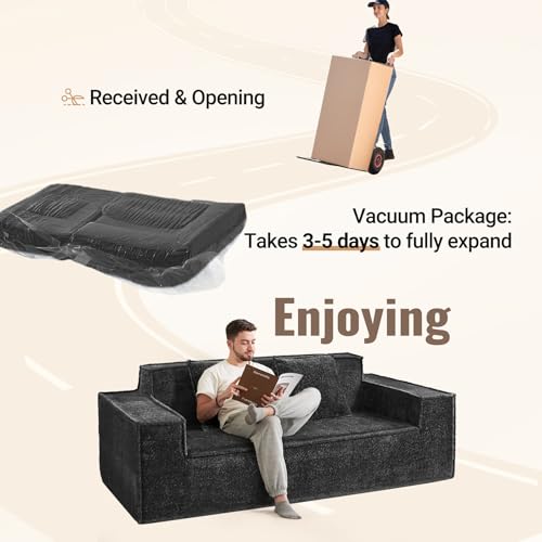77'' Modern Cloud Loveseat Couch, No Assembly Required Deep Seat Sofa in Chenille Includes 2 pcs Pillows for Living Room, Bedroom, Apartment(Black)