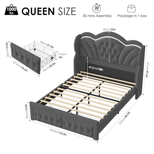 Queen Bed Frame with LED Lights and 2 Storage Drawers, Velvet Upholstered Platform with 47" Tall Arc-Shaped Wingback Headboard and Button Tufted Design, No Box Spring Needed, Noise-Free, Gray