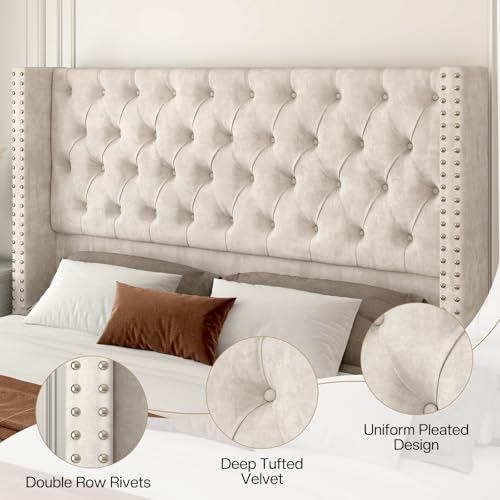 Queen Size Bed Frame Velvet Upholstered Platform Bed with 51.6" Tall Wingback Headboard Deep Button Tufted, No Box Spring Needed, Cream