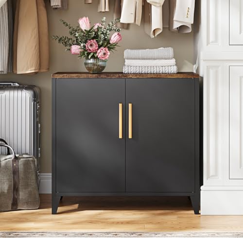 Metal Storage Cabinet with 2 Doors and Shelves 16" Dx 32" Wx30 H,Small Buffet Sideboard Short Cabinet for Kitchen Dining,Office Credenza Locker Modern Coffee Bar,Entryway Bathroom(Black)