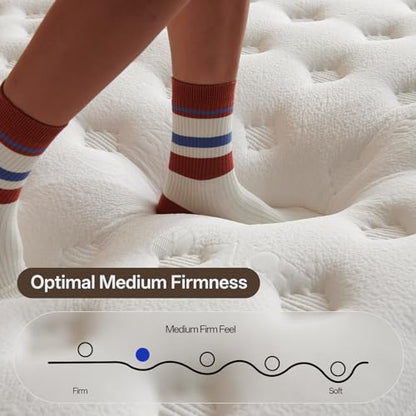 Queen Size Mattress,12 Inch Hybrid Queen Mattress in a Box with Memory Foam and Zoned Support Spring,Motion Isolation,Medium Firm,CertiPUR-US.