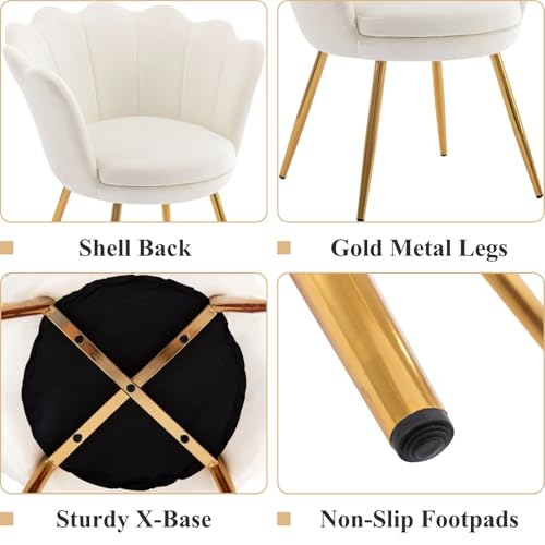 Cream White Makeup Vanity Chair with Back, Small Modern Velvet Upholstered Accent Chair with Gold Metal Legs, Cute Shell Shaped Vanity Stool Desk Chair for Living Room Bedroom Dressing Room