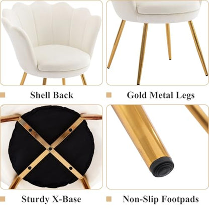Cream White Makeup Vanity Chair with Back, Small Modern Velvet Upholstered Accent Chair with Gold Metal Legs, Cute Shell Shaped Vanity Stool Desk Chair for Living Room Bedroom Dressing Room