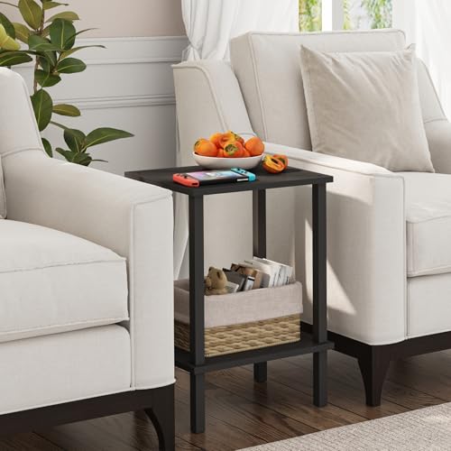 End Table, Set of 2, Side Table, Nightstand, 2-Tier Storage Shelf, Sofa Table for Small Space, Living Room, Bed Room TB01BK035