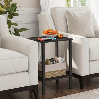 End Table, Set of 2, Side Table, Nightstand, 2-Tier Storage Shelf, Sofa Table for Small Space, Living Room, Bed Room TB01BK035