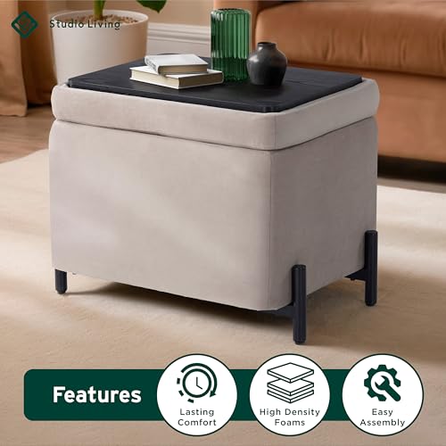 ® Connor 24" Small Storage Ottoman, Modern Boho, Matte Black Metal Legs, Velvet Fabric, Taupe